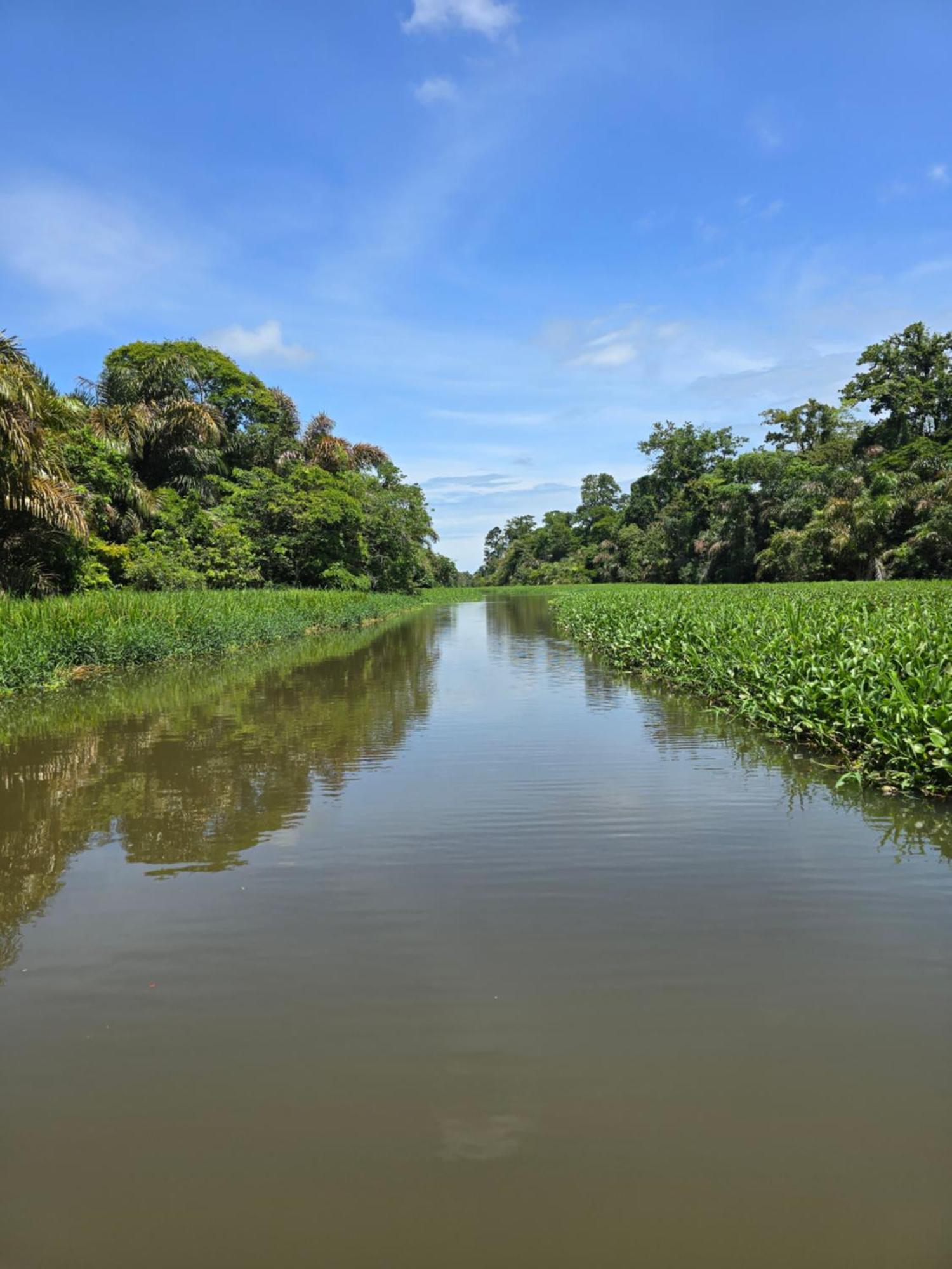 Casa Kattleya Tortuguero